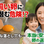 平飼い卵危険の真実｜家族に安心な選び方完全版