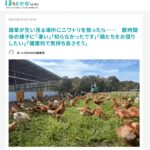 ITmediaニュースほとせなNEWSさまにあおぞら養鶏場の記事を取り上げていただきました！