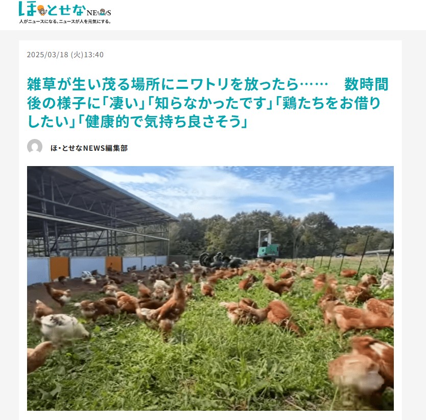 ITmediaニュースほとせなNEWSさまにあおぞら養鶏場の記事を取り上げていただきました！