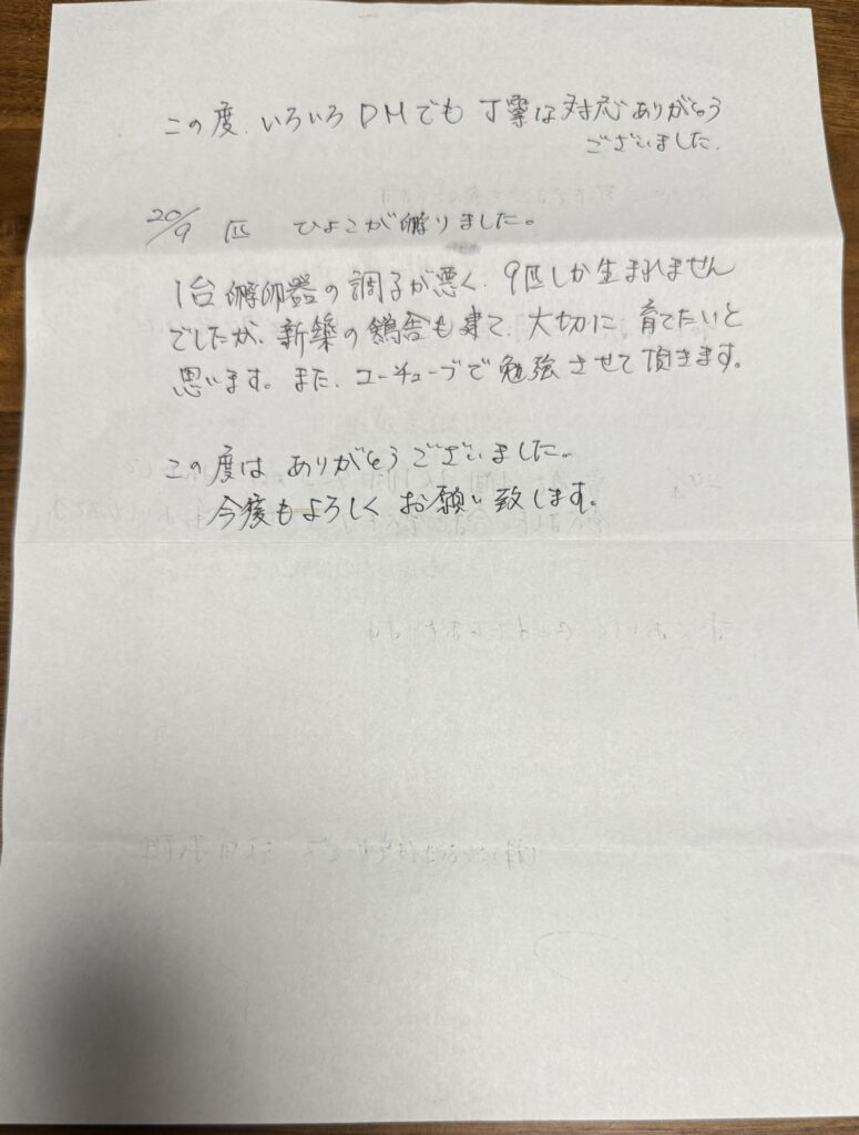 今まで1番美味しい!岡山県で平飼い自然卵絶賛