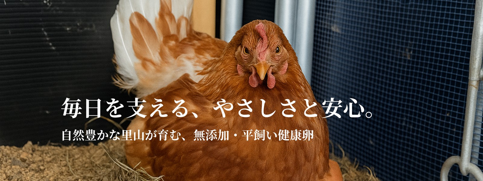 毎日を支える、やさしさと安心。