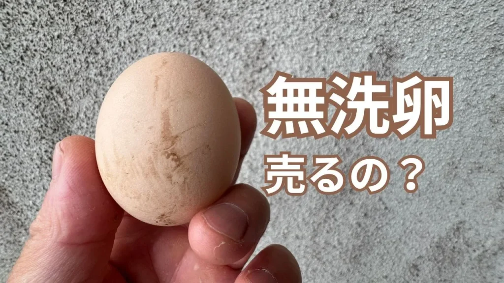 卵を洗わずに出荷していいの？サルモネラ菌大丈夫？質問に答えます