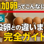無添加卵ってこんなに違う？｜特徴から一般卵との違いまで完全ガイド