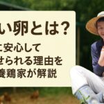 平飼い卵とは？子どもに安心して食べさせられる理由を平飼い養鶏家が解説