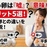平飼い卵のデメリット5選！「意味ない」「嘘」と言われる理由と普通の卵との違いを徹底解説