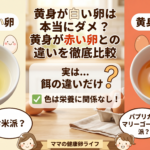 黄身が白い卵は本当にダメ？黄身が赤い卵との違いを徹底比較